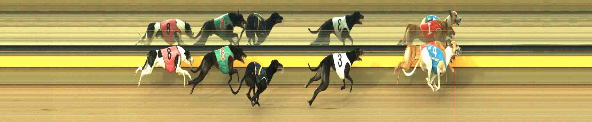 Photo finish for Horsham Race 5