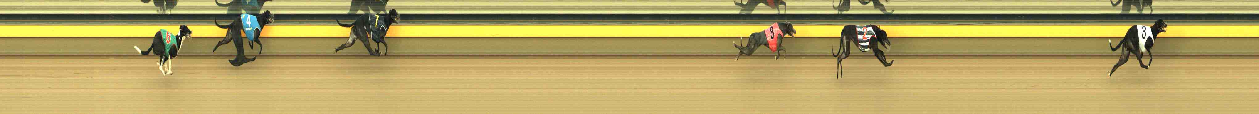 Photo finish for Horsham Race 6