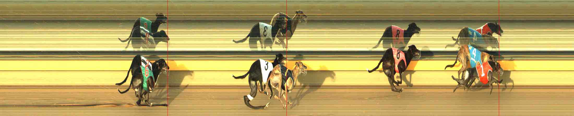 Photo finish for Horsham Race 7