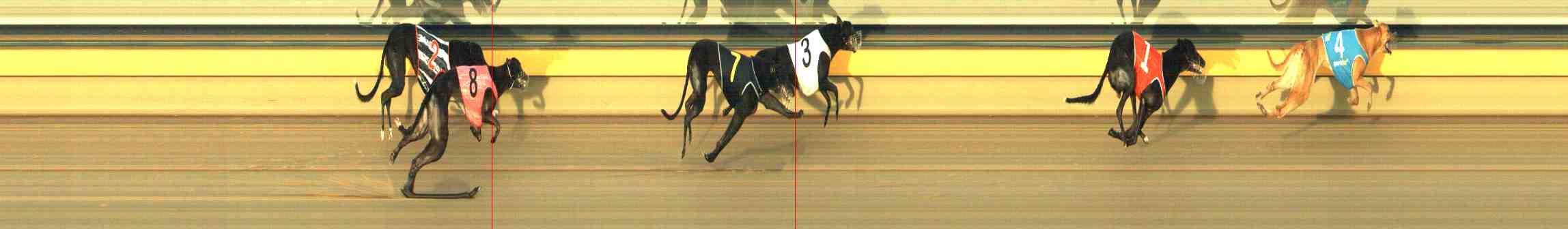 Photo finish for Horsham Race 8