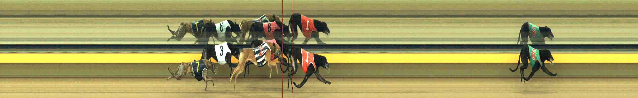Photo finish for Horsham Race 9