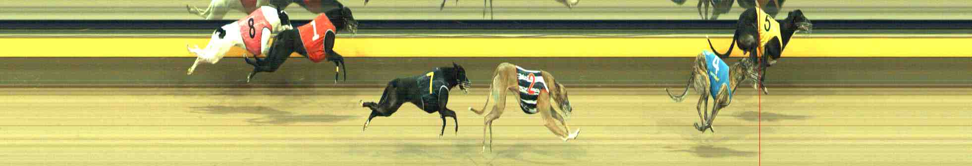 Photo finish for Horsham Race 10