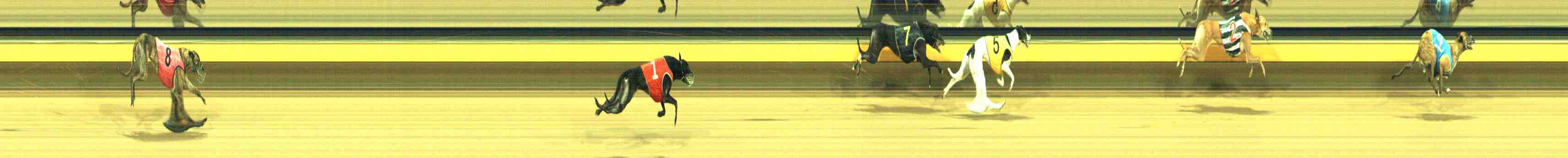 Photo finish for Horsham Race 11