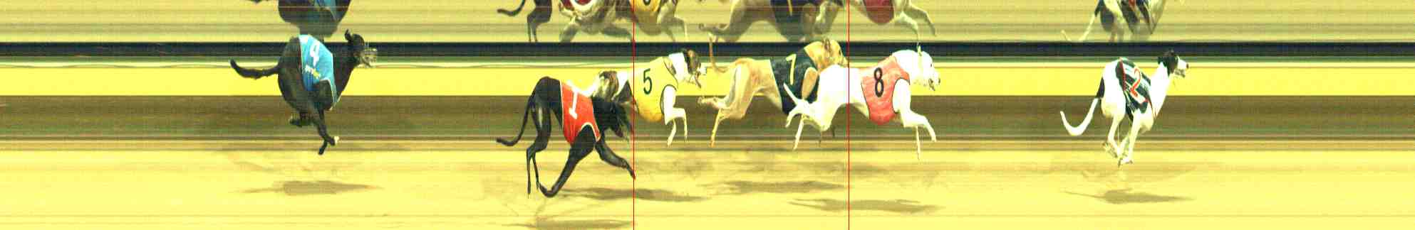 Photo finish for Horsham Race 12
