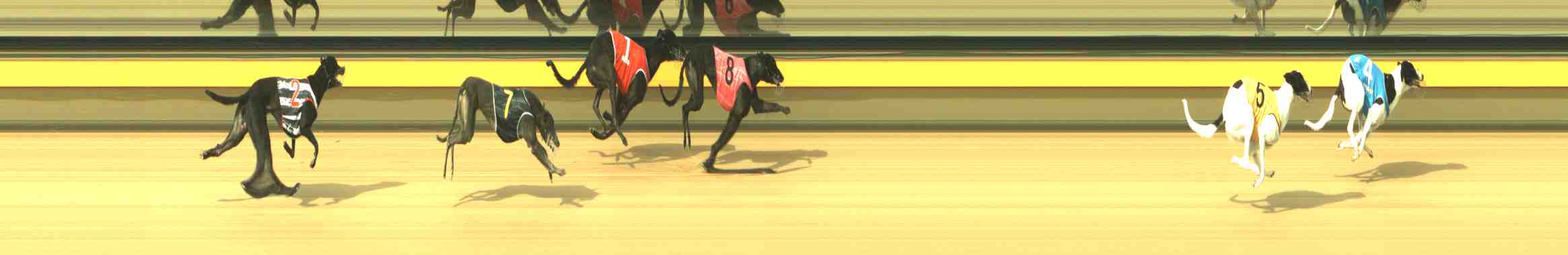Photo finish for Horsham Race 1