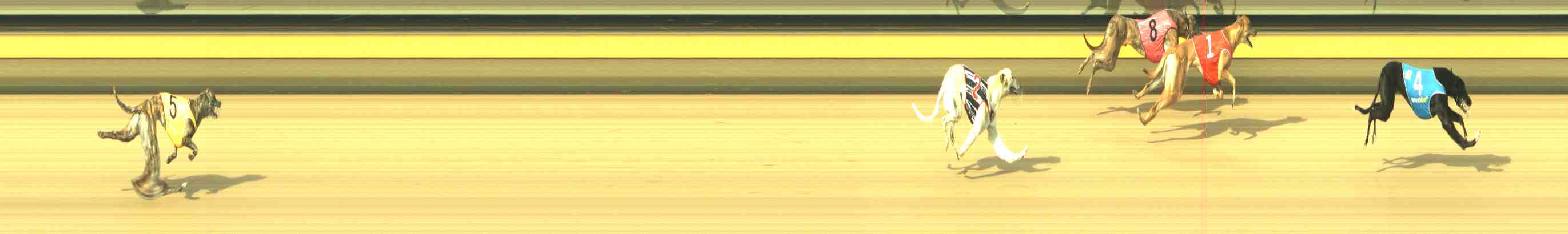 Photo finish for Horsham Race 2