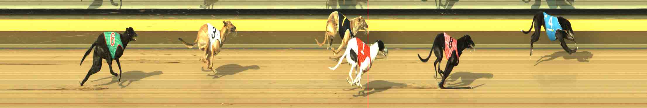 Photo finish for Horsham Race 4