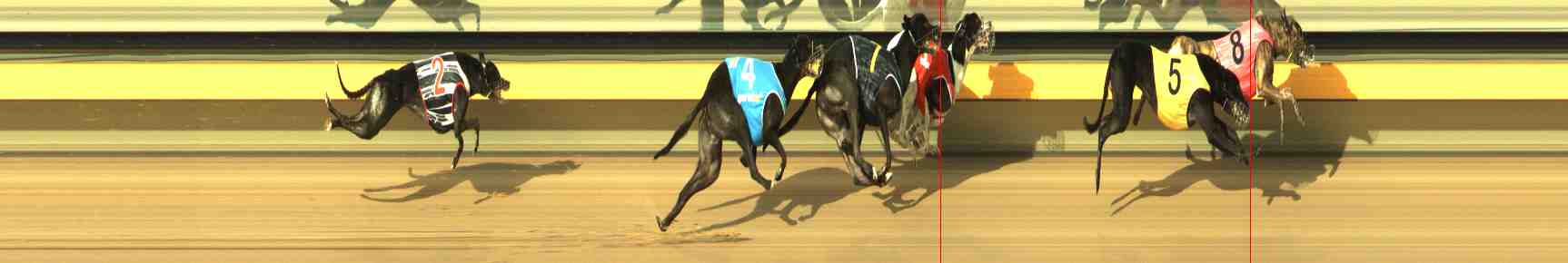 Photo finish for Horsham Race 5
