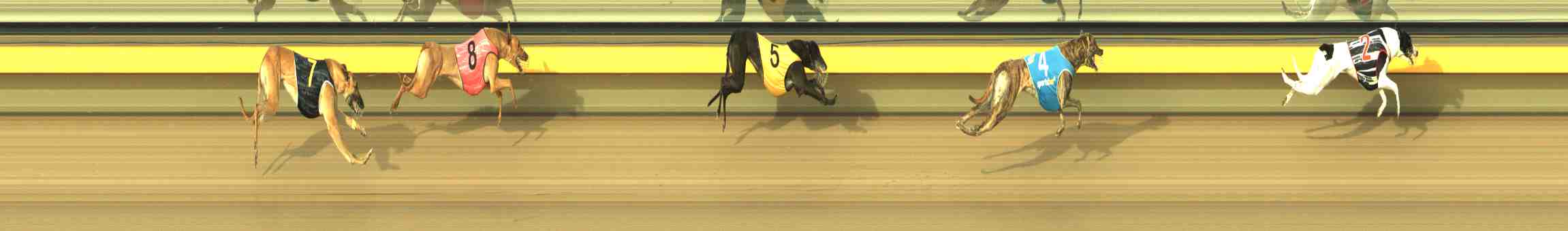 Photo finish for Horsham Race 6