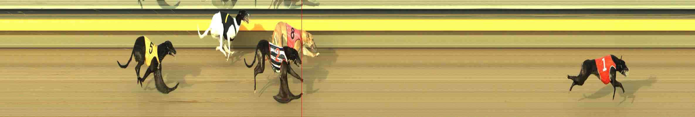 Photo finish for Horsham Race 7