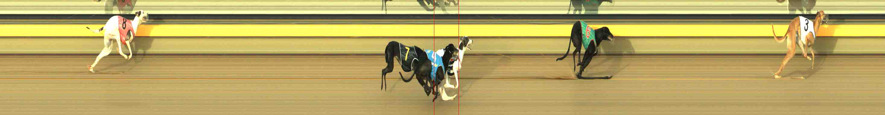 Photo finish for Horsham Race 8