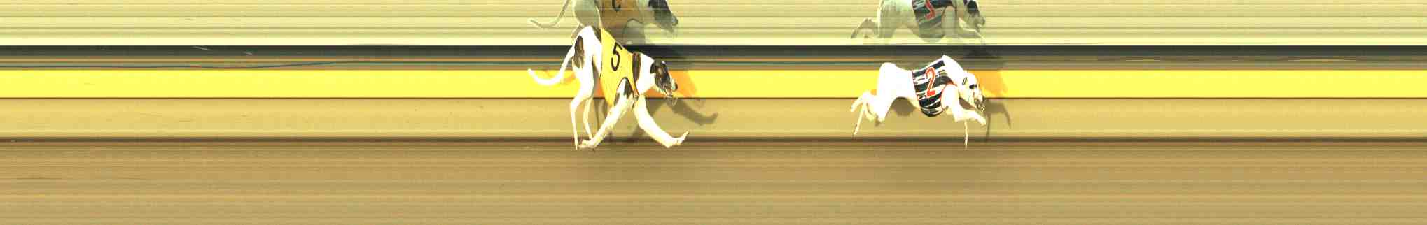 Photo finish for Horsham Race 9