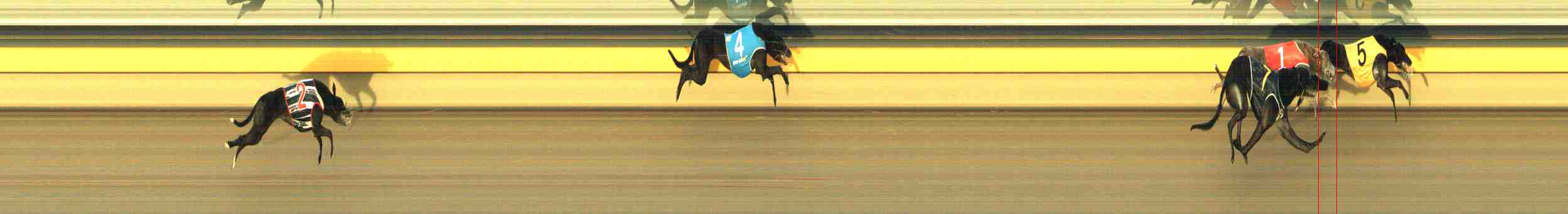 Photo finish for Horsham Race 10