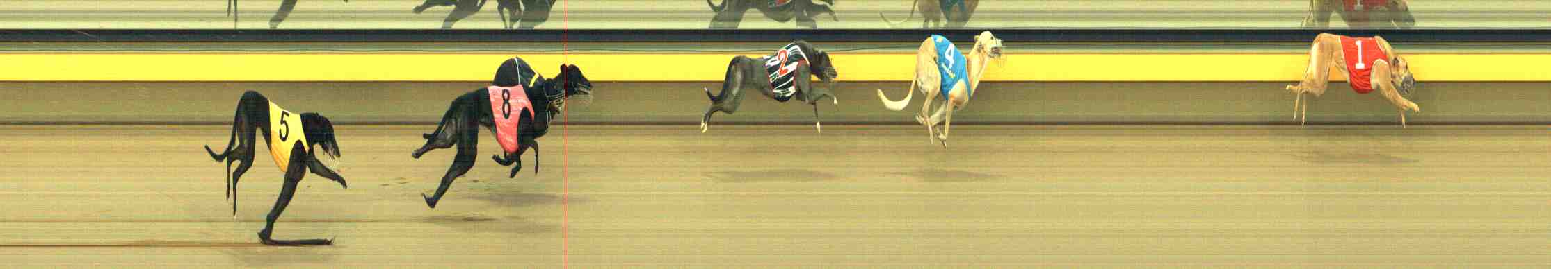 Photo finish for Horsham Race 11