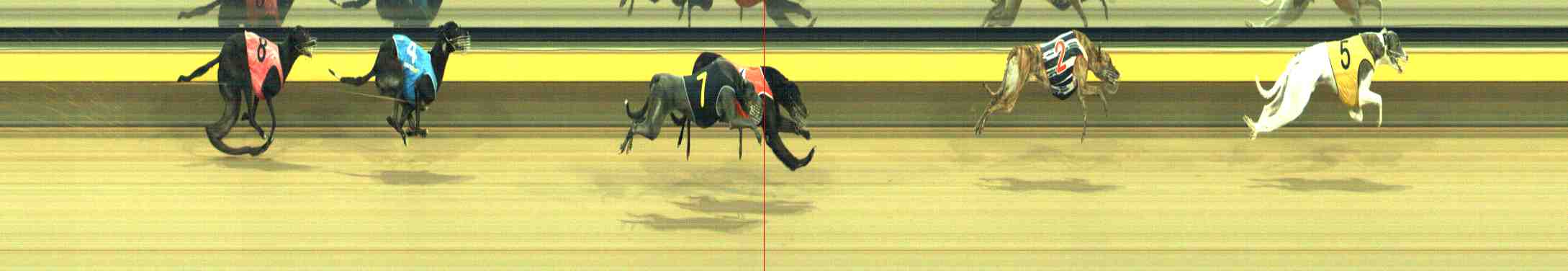 Photo finish for Horsham Race 12