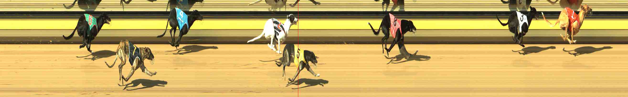 Photo finish for Horsham Race 1