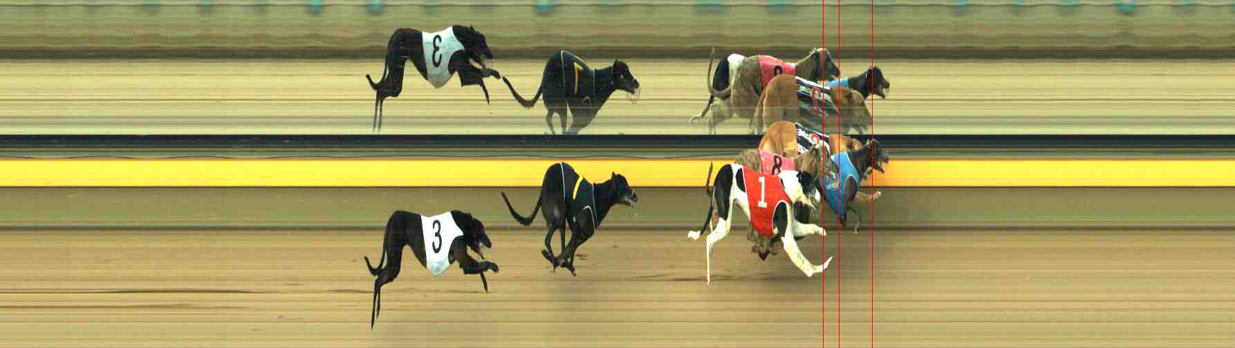 Photo finish for Horsham Race 4