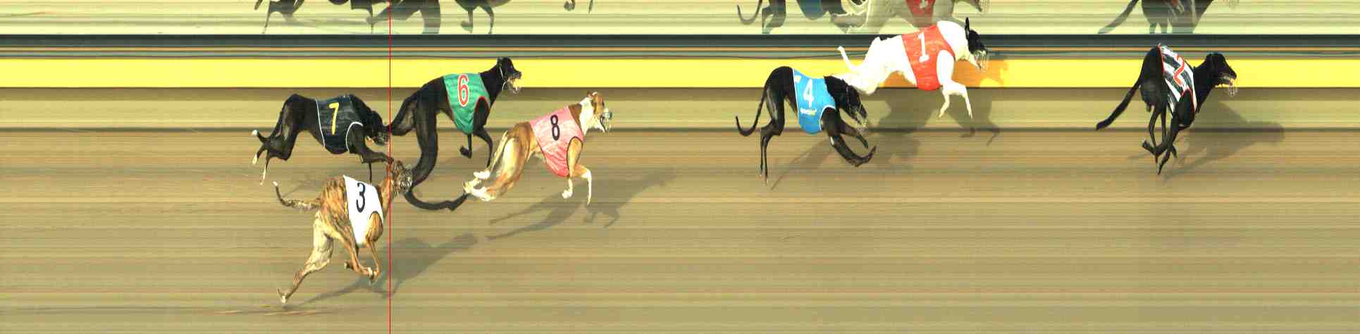 Photo finish for Horsham Race 5