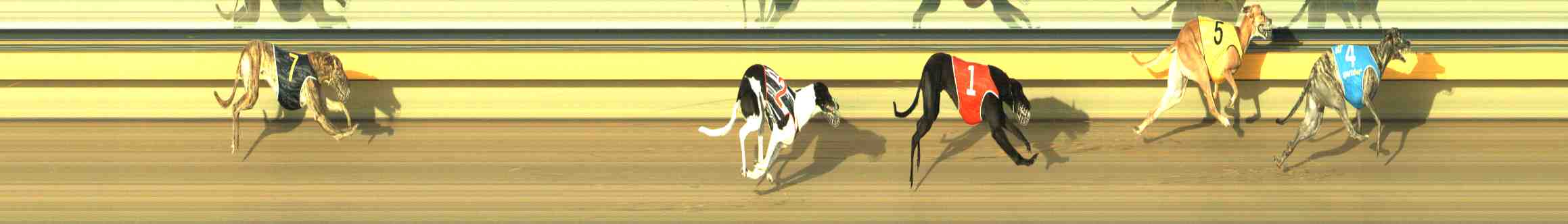 Photo finish for Horsham Race 6