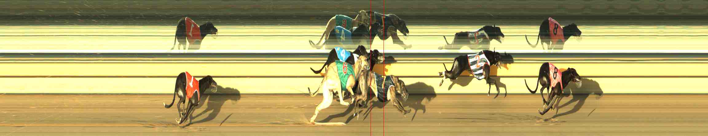 Photo finish for Horsham Race 7