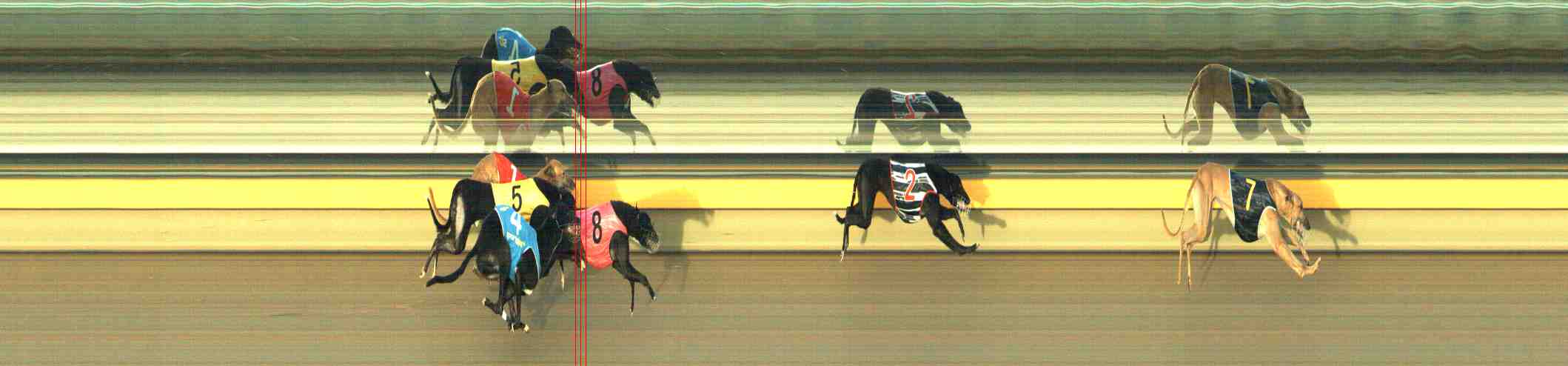 Photo finish for Horsham Race 8