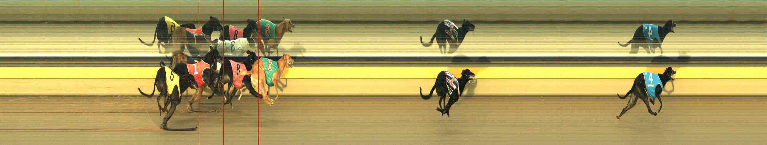 Photo finish for Horsham Race 9