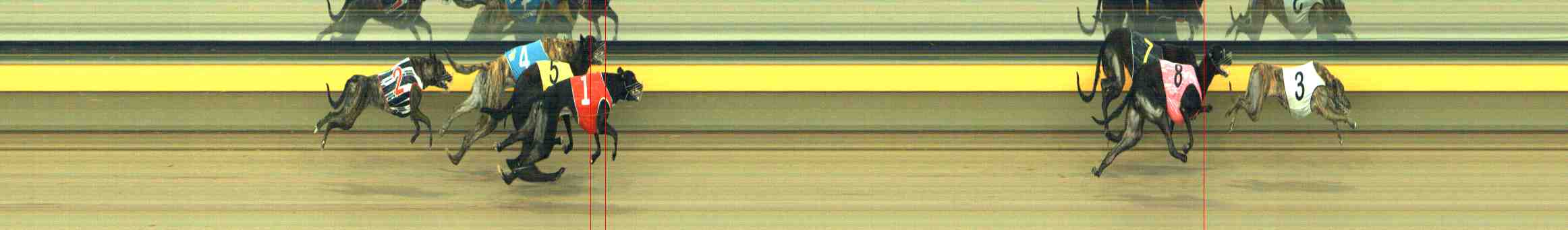 Photo finish for Horsham Race 10