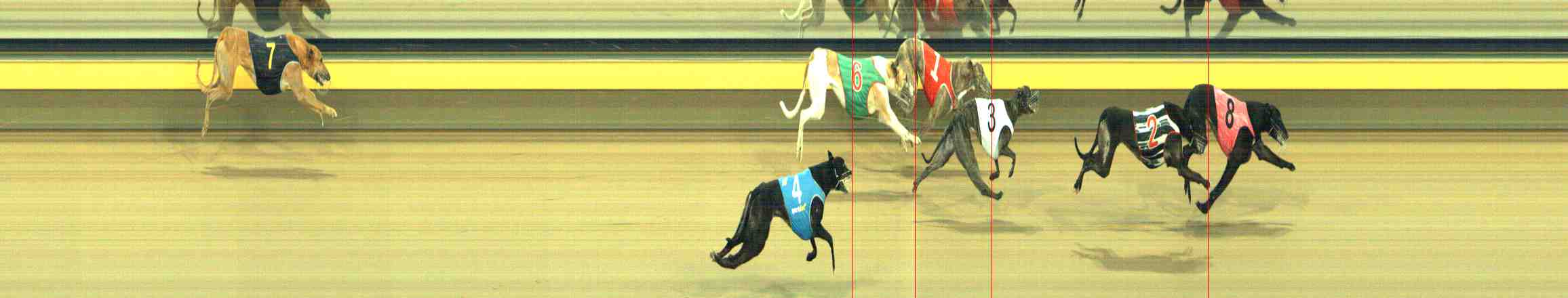 Photo finish for Horsham Race 11