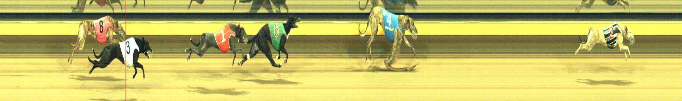 Photo finish for Horsham Race 12