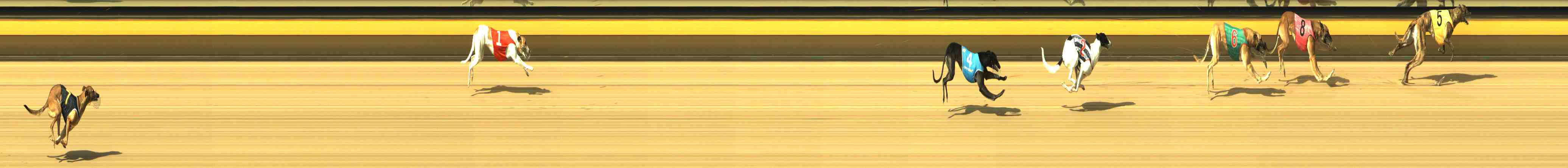 Photo finish for Horsham Race 1