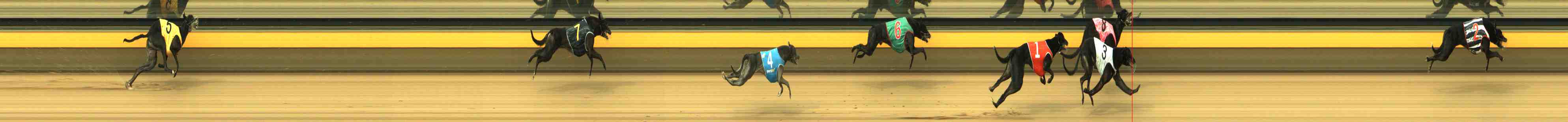 Photo finish for Horsham Race 2