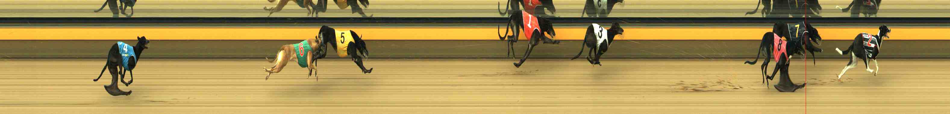 Photo finish for Horsham Race 3