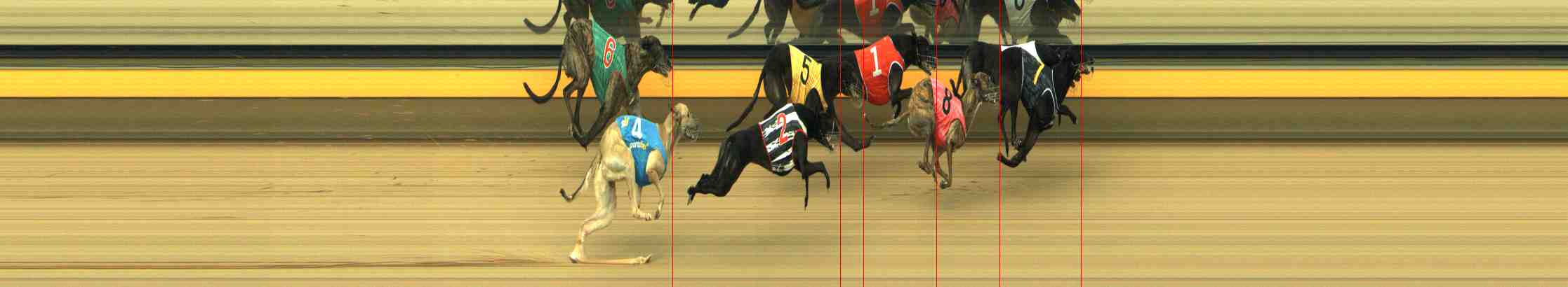 Photo finish for Horsham Race 4
