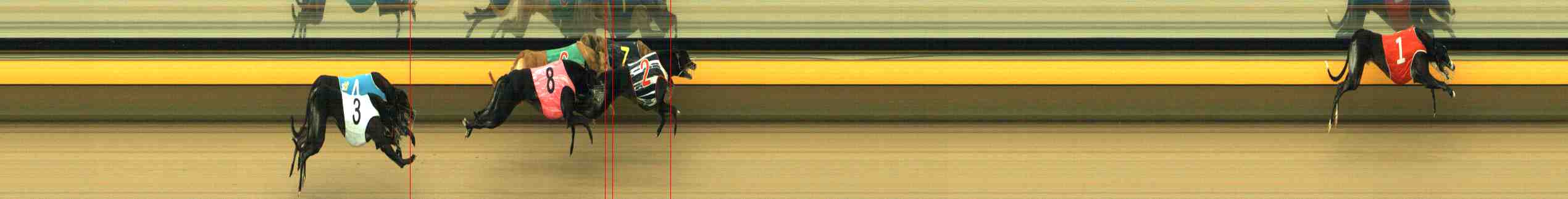 Photo finish for Horsham Race 7
