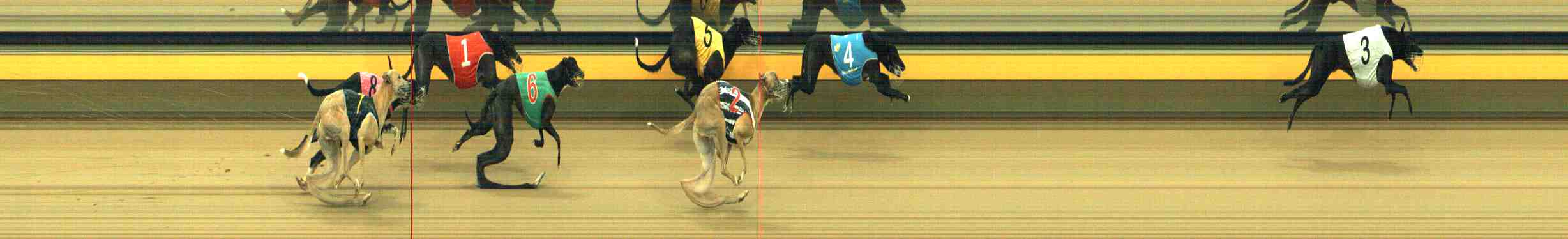 Photo finish for Horsham Race 8