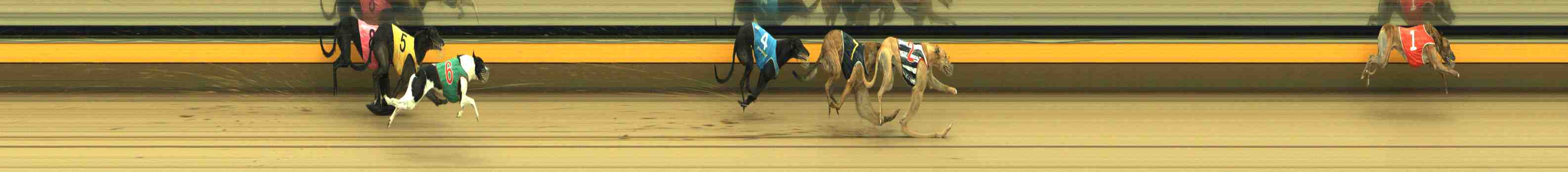 Photo finish for Horsham Race 9