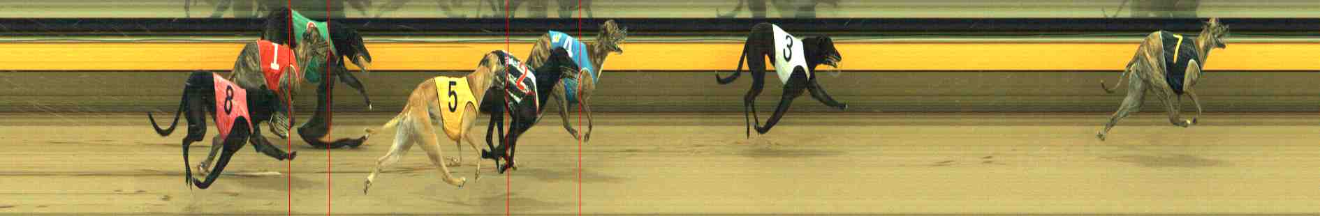 Photo finish for Horsham Race 10