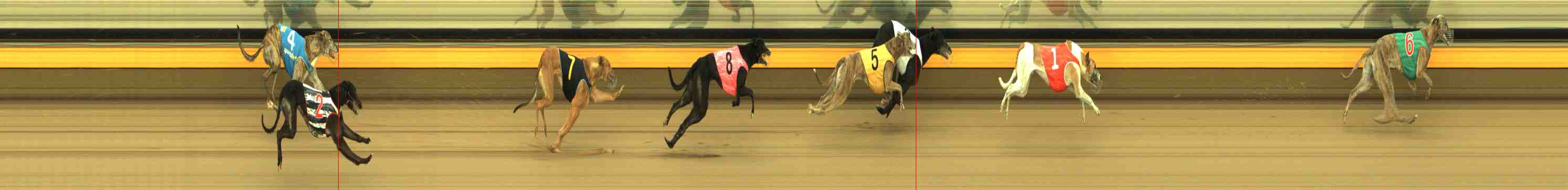 Photo finish for Horsham Race 11