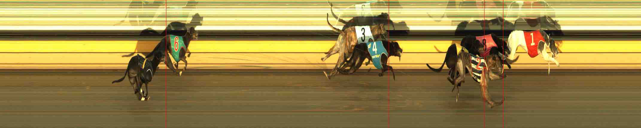 Photo finish for Horsham Race 12