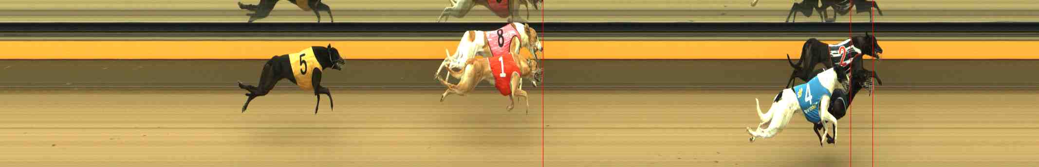 Photo finish for Horsham Race 1