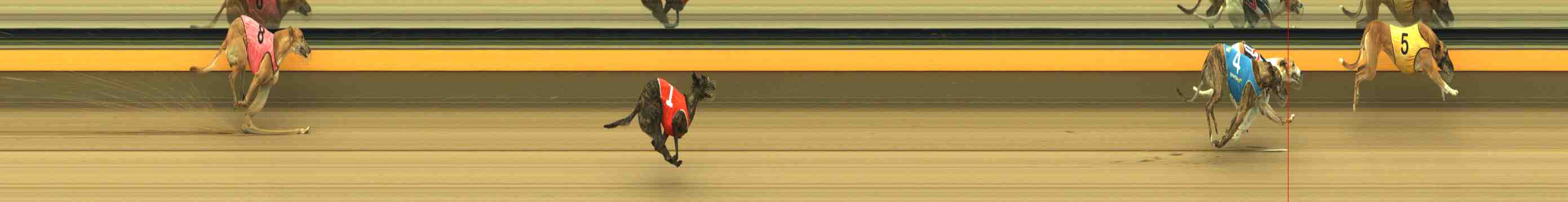 Photo finish for Horsham Race 2