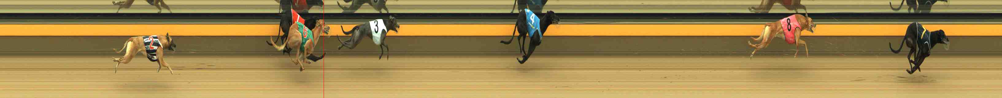 Photo finish for Horsham Race 3