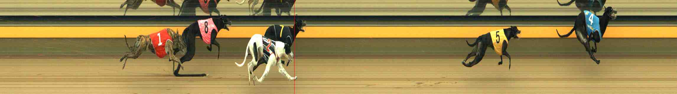 Photo finish for Horsham Race 4