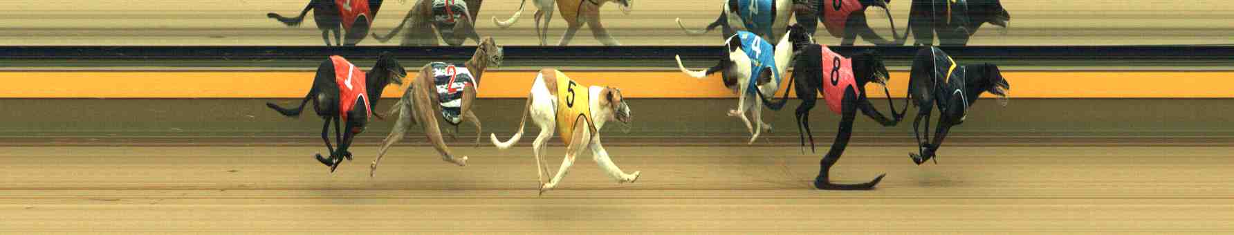 Photo finish for Horsham Race 5