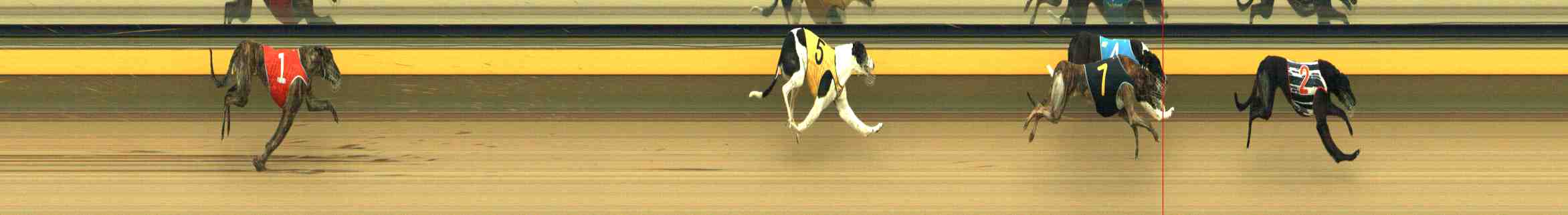 Photo finish for Horsham Race 6