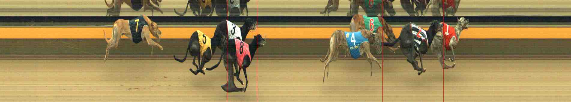 Photo finish for Horsham Race 7