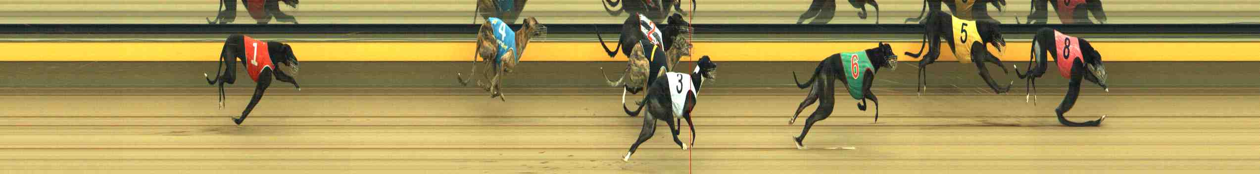Photo finish for Horsham Race 8