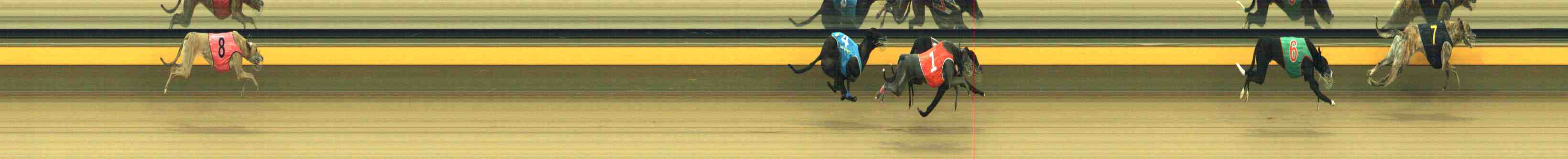 Photo finish for Horsham Race 9
