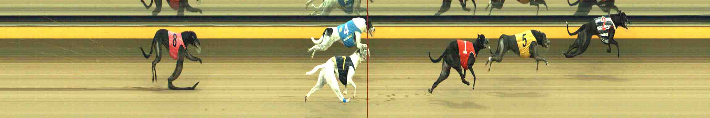 Photo finish for Horsham Race 10