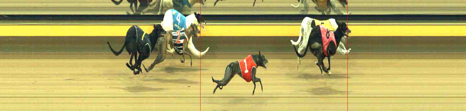 Photo finish for Horsham Race 11